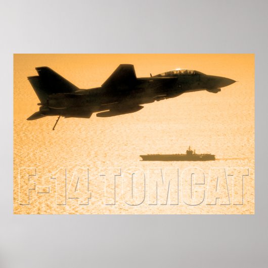 F-14 TOMCAT POSTER (Vorne)