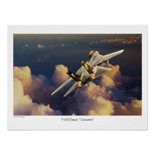 F-14 Tomcat Poster (Vorderseite)