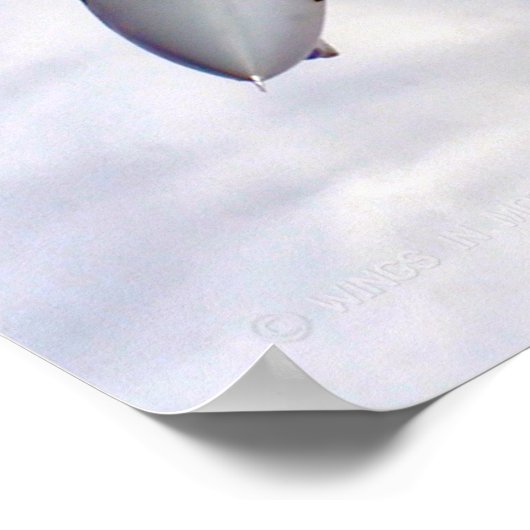 F-14 TOMCAT POSTER (Ecke)