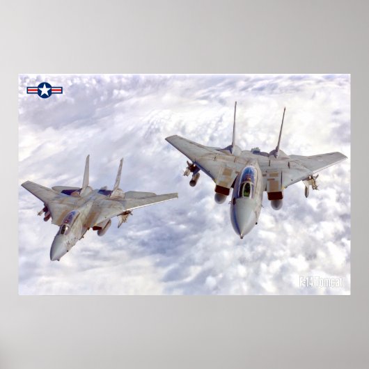 F-14 TOMCAT POSTER (Vorne)