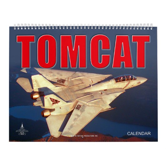 F-14 TOMCAT "SWING WING" Kalender (Titelbild)