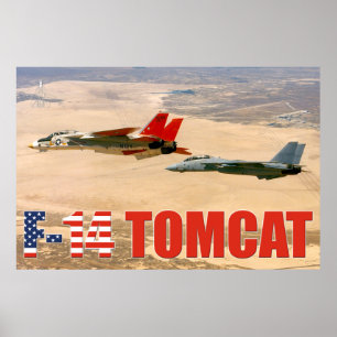 F-14 TOMCAT "WINGMAN" POSTER