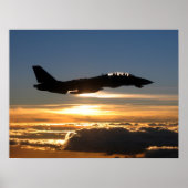 F-14D Tomcat Poster (Vorne)