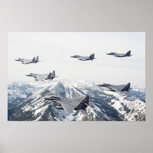 F-15-Adlerflugzeug Poster (Vorne)