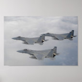 F-15-Adlerflugzeug Poster (Vorne)
