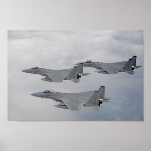 F-15-Adlerflugzeug Poster (Vorne)
