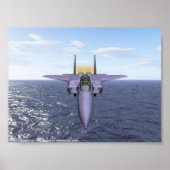 F-15 Fliegen über dem Pazifik Poster (Vorne)