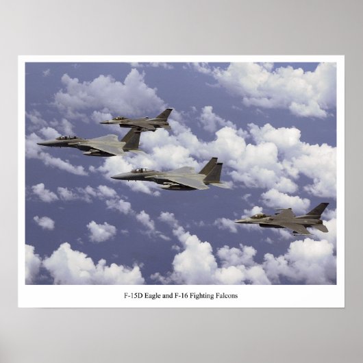 F-15D Adler und F-16 Falken bekämpfen Poster (Vorne)