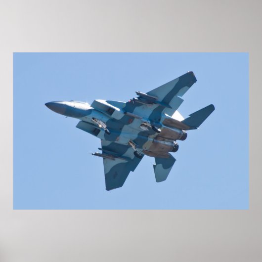 F-15D Adler WA AF 80 0058 Bankwesen Poster (Vorne)