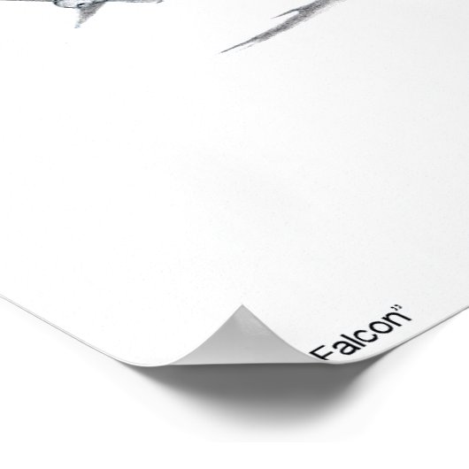 F-16 Falken und Falken Poster (Ecke)