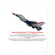 F-16 Falkenbekämpfungsjet