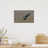 F-16 Falkenflugzeuge Poster (Küche)