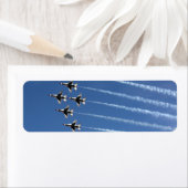 F-16 Thunderbird Delta Formation (Insitu)