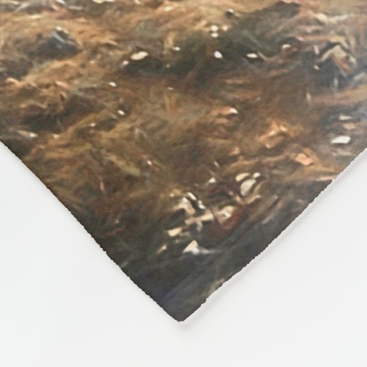 F-22 RAPTOREN ÜBER AMERIKA FLEECEDECKE (Ecke)