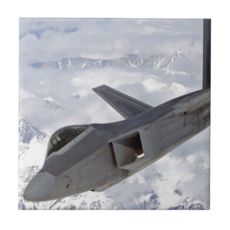 F-22 Raubvogel-Elmendorf AFB Fliese