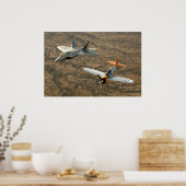 F-22A Raubvogel und Thunderbolt P-47 Poster (Küche)