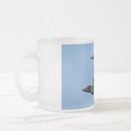 F-35 und F-22 Kampfjet Mattglastasse