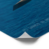 F-35C-BELEUCHTUNG II POSTER (Ecke)
