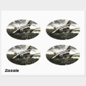 F-4 Phantom Fighter Jet Ovaler Aufkleber (Blatt)