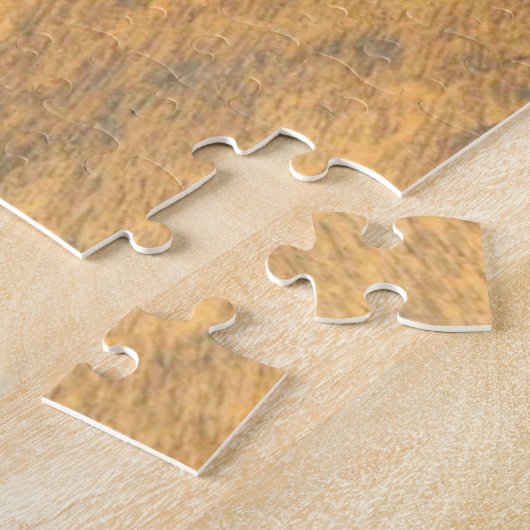 F-4 PHANTOM und F-22 RAPTOR (20x30 INCH) Puzzle (Seite)