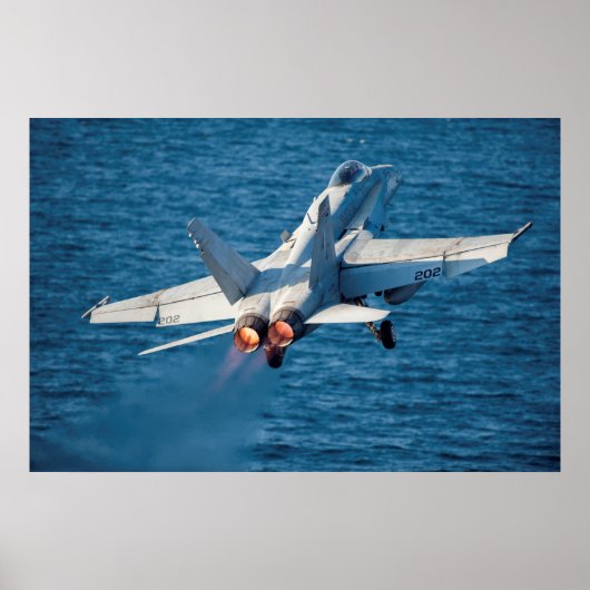 F/A-18C Hornet Poster (Vorne)