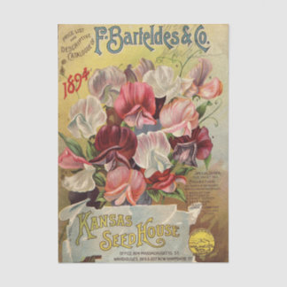 F. Barteldes & Co 1894 Vintage Samen Katalog Seidenpapier