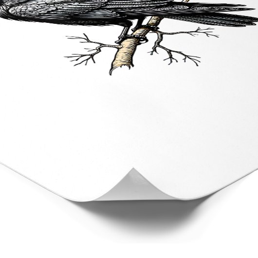 F Caw F Crow, F-Caw-F Cute Bird Saying Meme Poster (Ecke)