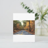 F.D. ROOSEVELT STAAT PARK - PINE BERG, GEORGIEN POSTKARTE (Stehend Vorderseite)