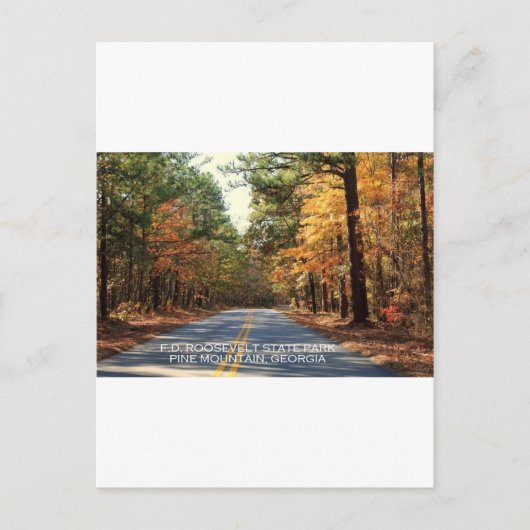 F.D. ROOSEVELT STAAT PARK - PINE BERG, GEORGIEN POSTKARTE (Vorderseite)