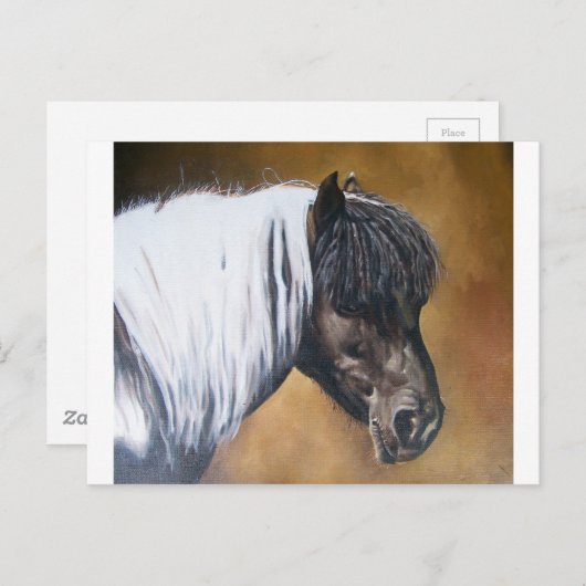 FAA-AfroPony Postkarte (Vorne/Hinten)