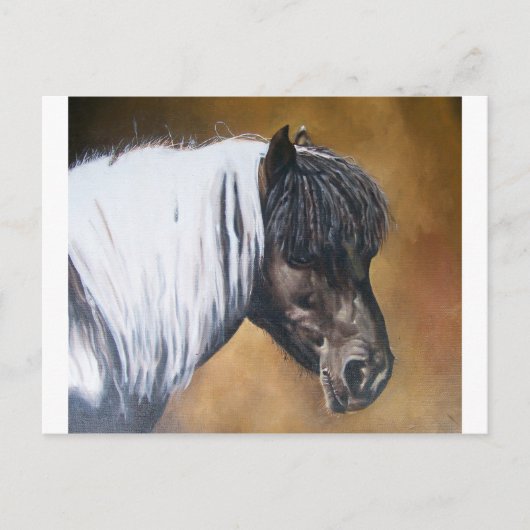 FAA-AfroPony Postkarte (Vorderseite)