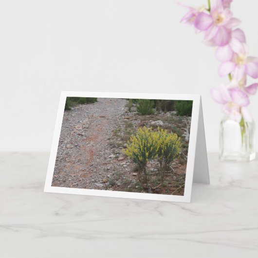 Fabale Pflanze, Anthyllis Cytisoides Karte (Orchidee)