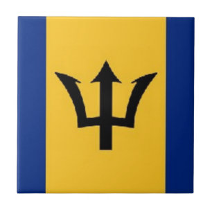 fabelhafte Barbados Fliese