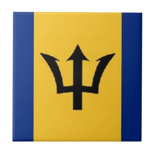 fabelhafte Barbados Fliese (Vorderseite)