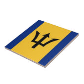 fabelhafte Barbados Fliese (Seite)