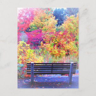 Fabelhafte Herbstfarben Herbst Landschaftlich Postkarte