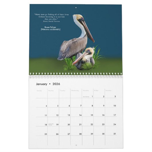 Fabelhafte Vogel-12-monatiger Kalender (Jan 2026)