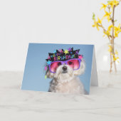 Fabelhafter Geburtstag Karte (Gelbe Blume)