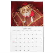 Fabelhafter Kalender der Chihuahua 2013 (Mär 2027)