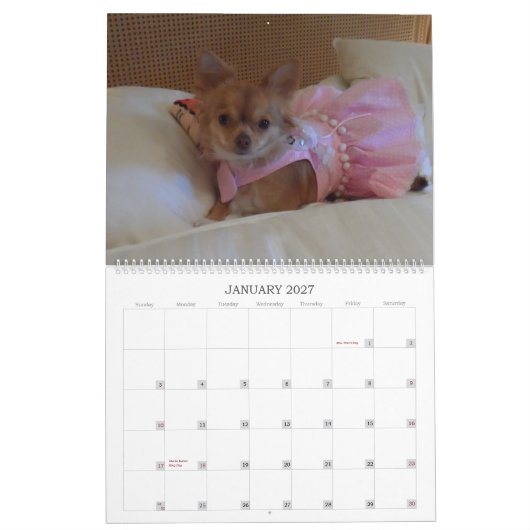 Fabelhafter Kalender der Chihuahua 2013 (Jan 2027)