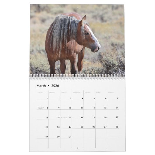 Fabio A Wild Wyoming Stallion Kalender (Mär 2026)