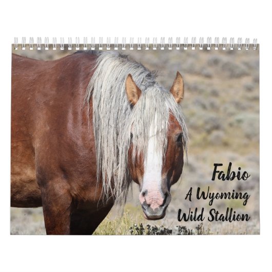 Fabio, ein wilder Wyoming-Hengst Kalender (Titelbild)