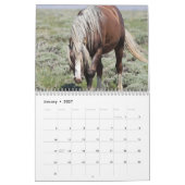 Fabio, ein wilder Wyoming-Hengst Kalender (Jan 2027)