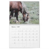 Fabio, ein wilder Wyoming-Hengst Kalender (Feb 2027)