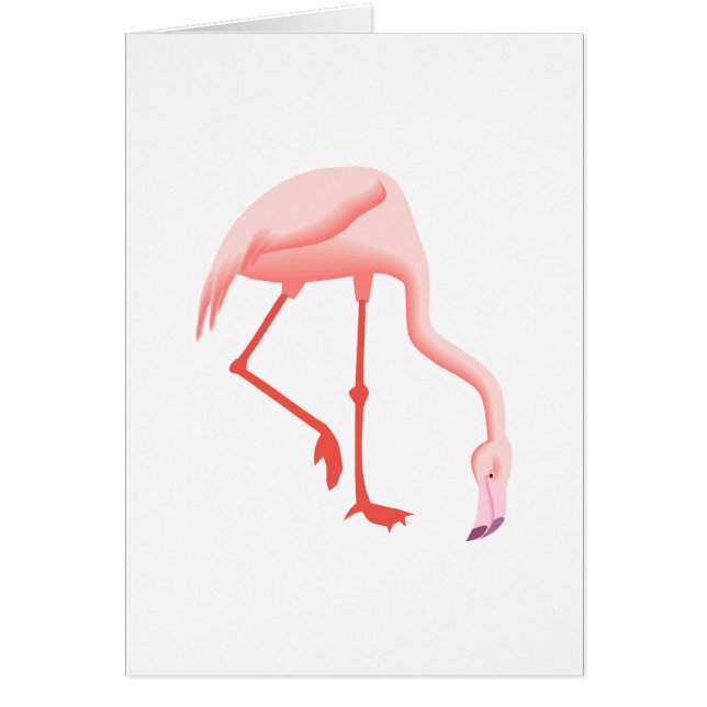Fabio-Flamingo (Vorne)