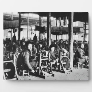 Fabrik unter chinesischer Leitung in der Nähe von  Fotoplatte
