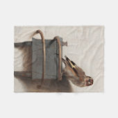 Fabritius Die Goldfinch Malerei Art Print Fleecedecke (Vorderseite (Horizontal))