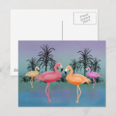 Fabulous Flamingos Postkarte (Vorne/Hinten)