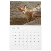 Fabulous Foxes 2026 Kalender (Mär 2026)