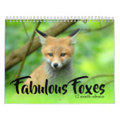 Fabulous Foxes 2026 Kalender (Titelbild)